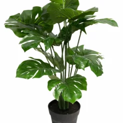 NORDIC DECO Monsteraplante I Potte