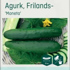 Odle Frø Frilandsagurk Moneta