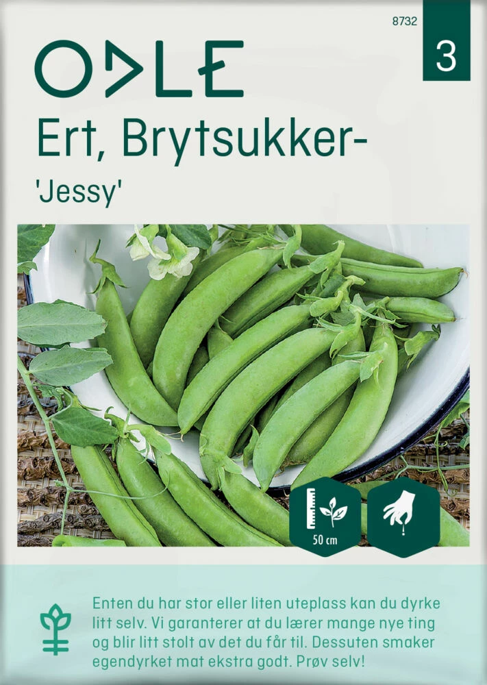 Odle Frø Brytsukkerert Jessy 1 Odle Frø Brytsukkerert Jessy