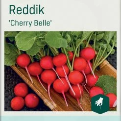 Odle Frøpose Månedsreddik 'Cherry Belle'