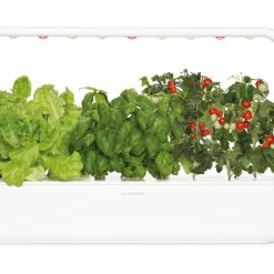 Click&Grow Smart Garden 9 Startsett