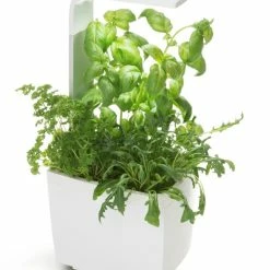 Tregren Kjøkkenhage/minidrivhus T3, Hvit