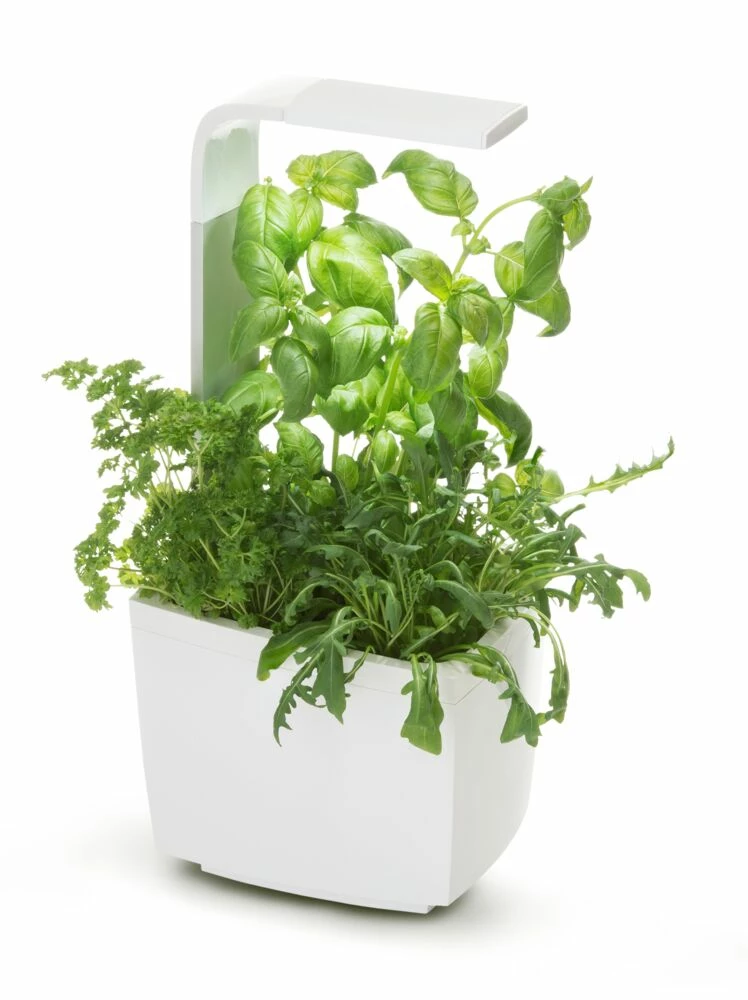 Tregren Kjøkkenhage/minidrivhus T3, Hvit 1 Tregren Kjøkkenhage/minidrivhus T3, Hvit