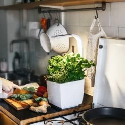 Tregren Kjøkkenhage/minidrivhus T3, Hvit 11 Tregren Kjøkkenhage/minidrivhus T3, Hvit -Leifheit click shop 645415 6430058280262 6