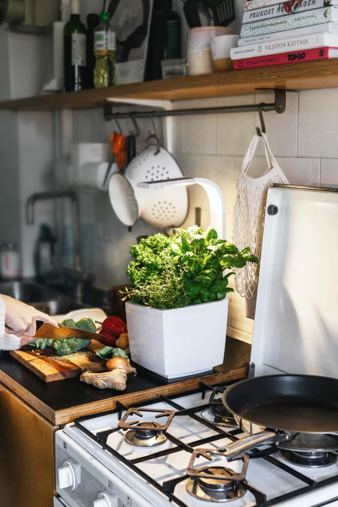 Tregren Kjøkkenhage/minidrivhus T3, Hvit 6 Tregren Kjøkkenhage/minidrivhus T3, Hvit - Bilde 6