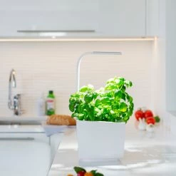 Tregren Kjøkkenhage/minidrivhus T3, Hvit 9 Tregren Kjøkkenhage/minidrivhus T3, Hvit -Leifheit click shop 645422 6430058280262 4