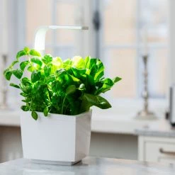 Tregren Kjøkkenhage/minidrivhus T3, Hvit 8 Tregren Kjøkkenhage/minidrivhus T3, Hvit -Leifheit click shop 645423 6430058280262 3