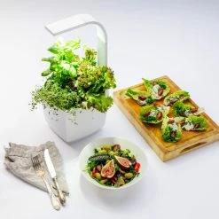 Tregren Kjøkkenhage/minidrivhus T3, Hvit 10 Tregren Kjøkkenhage/minidrivhus T3, Hvit -Leifheit click shop 645434 6430058280262 5