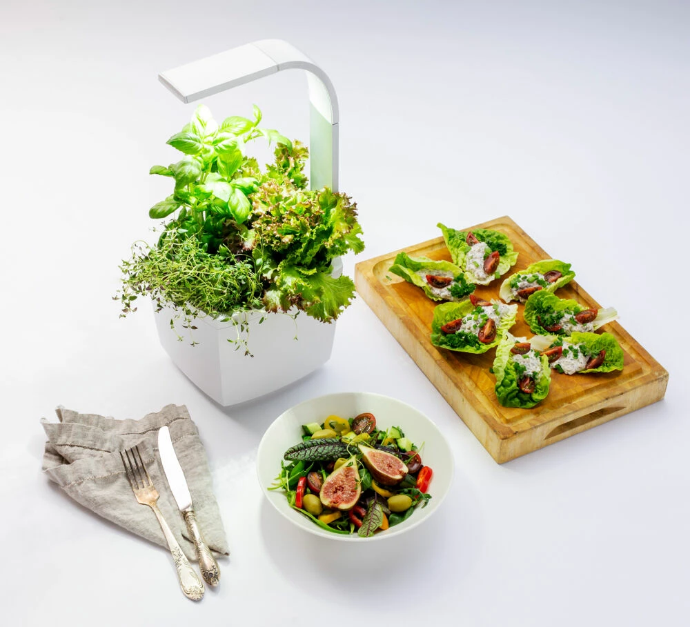 Tregren Kjøkkenhage/minidrivhus T3, Hvit 5 Tregren Kjøkkenhage/minidrivhus T3, Hvit - Bilde 5