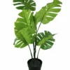NORD Monstera Plante