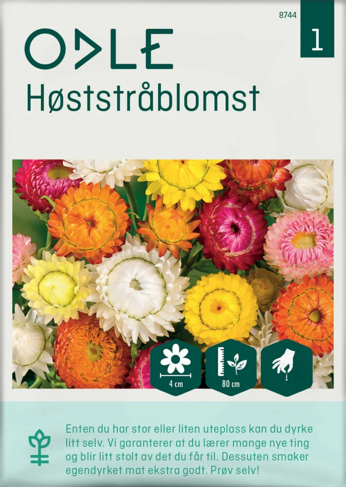 Odle Frøpose Høststråblomst 1 Odle Frøpose Høststråblomst